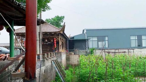 武汉江夏金口有座农家乐,庄园式环境很幽深,美食和民宿一应俱全