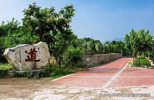 天津蓟县得一山庄农家院,36间房人均百元,回民餐烤乳猪是特色