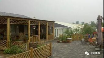呼市严查农业大棚改建私家庄园 规范农家院山庄经营
