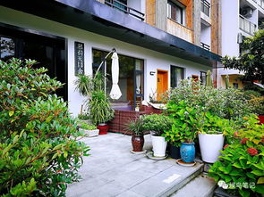 候鸟笔记 天目山旅居生活纪实（上篇）——农家院山庄