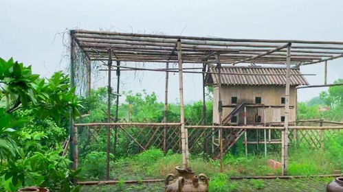 探访武汉江夏金口 幽深庄园式农家乐，美食民宿尽享田园之乐