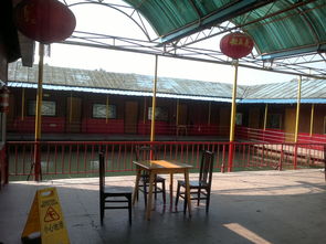 清岛山庄 清江野鱼与水上餐厅的田园诗